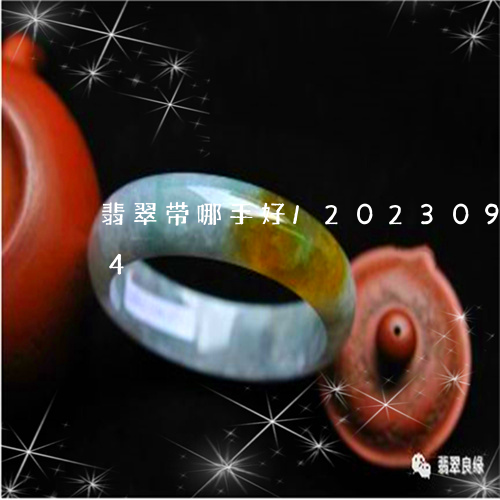 翡翠带哪手好/2023092461814