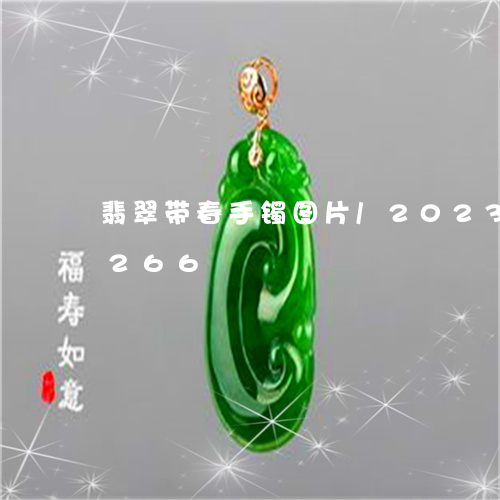 翡翠带春手镯图片/2023041665266