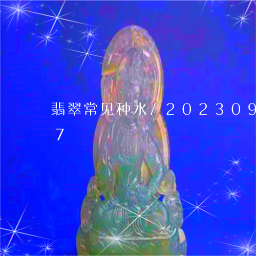 翡翠常见种水/2023092475927