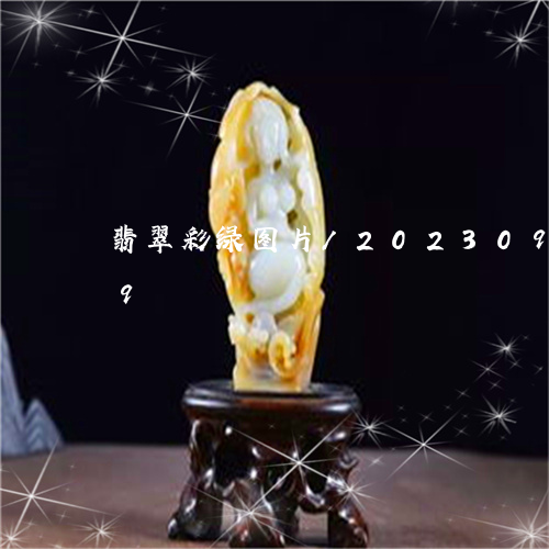 翡翠彩绿图片/2023092418389