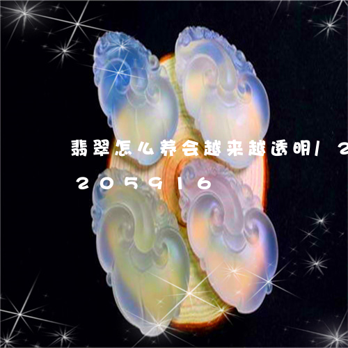 翡翠怎么养会越来越透明/2023110205916