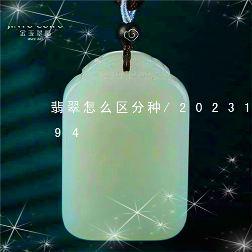 翡翠怎么区分种/2023100771694