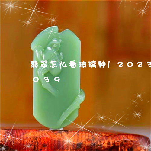 翡翠怎么看玻璃种/2023120446039