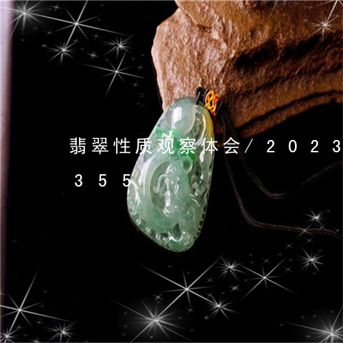 翡翠性质观察体会/2023031979355