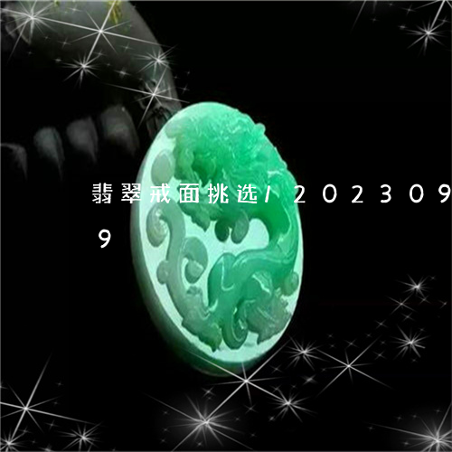 翡翠戒面挑选/2023092476259