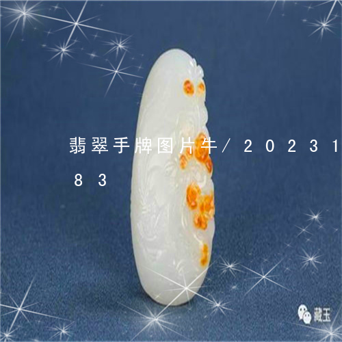 翡翠手牌图片牛/2023100616583