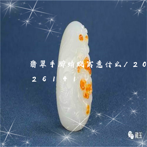 翡翠手牌蜻蜓寓意什么/2023120726141