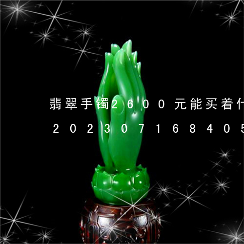 翡翠手镯2600元能买着什么样的手镯/2023071684056