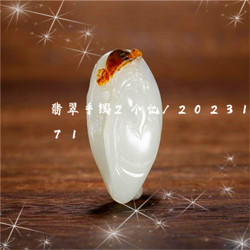 翡翠手镯2个亿/2023100727171