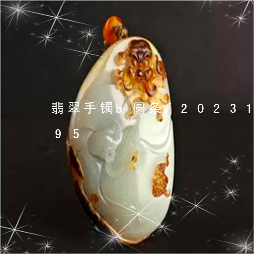 翡翠手镯b圆条/2023100782895