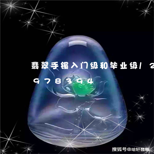 翡翠手镯入门级和毕业级/2023092978394