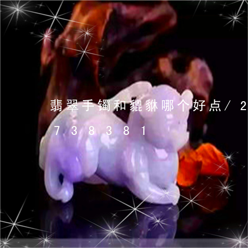 翡翠手镯和貔貅哪个好点/2023111738381