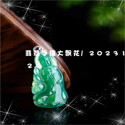 翡翠手镯大飘花/2023100713524