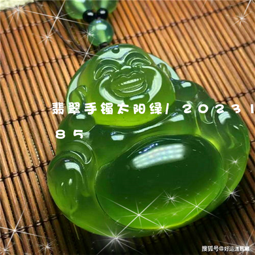 翡翠手镯太阳绿/2023100780585