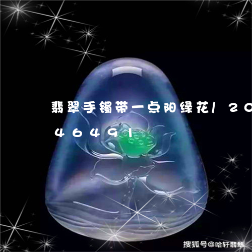 翡翠手镯带一点阳绿花/2023092846491