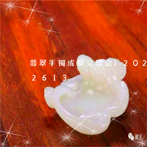 翡翠手镯成都交流会/2023102522613