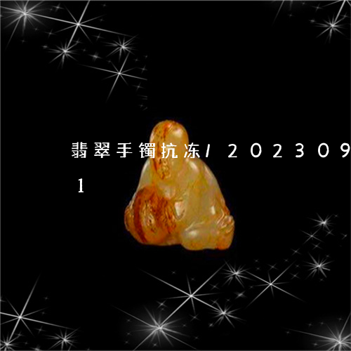 翡翠手镯抗冻/2023092360361