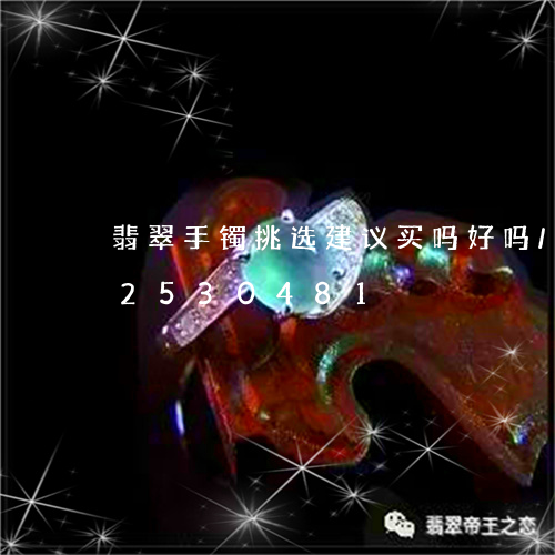 翡翠手镯挑选建议买吗好吗/2023072530481