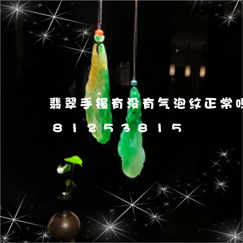 翡翠手镯有没有气泡纹正常吗/2023081253815