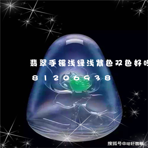 翡翠手镯浅绿浅紫色双色好吗/2023081206938