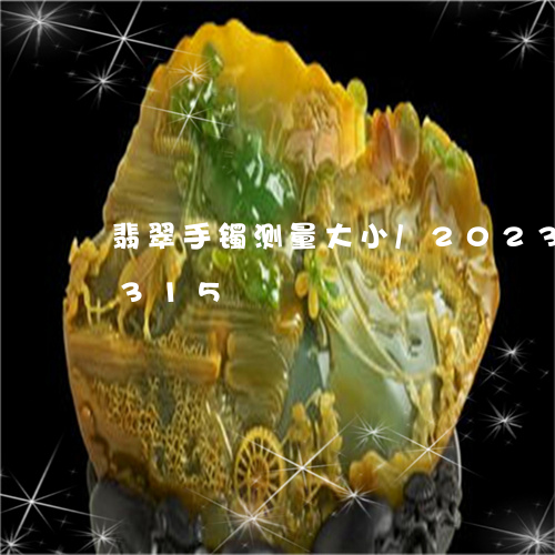 翡翠手镯测量大小/2023031877315