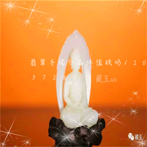 翡翠手镯白晶体值钱吗/2023092837269