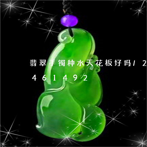 翡翠手镯种水天花板好吗/2023112461492