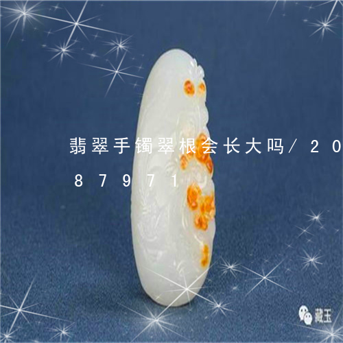 翡翠手镯翠根会长大吗/2023081287971