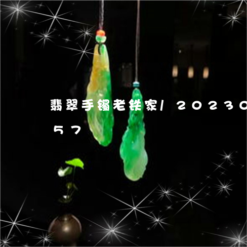 翡翠手镯老铁家/2023073154757