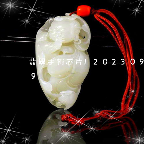 翡翠手镯芯片/2023092327179