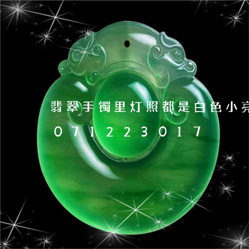 翡翠手镯里灯照都是白色小亮点/2023071223017