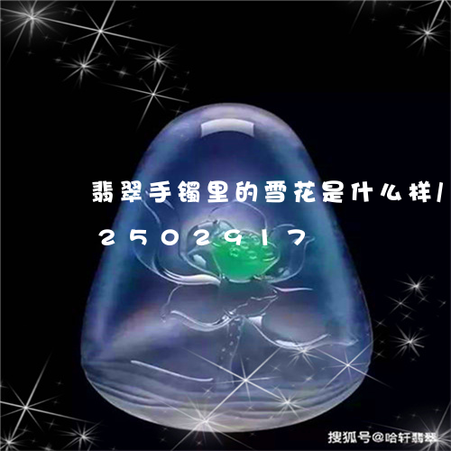 翡翠手镯里的雪花是什么样/2023072502917