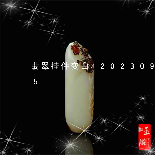 翡翠挂件变白/2023092391615