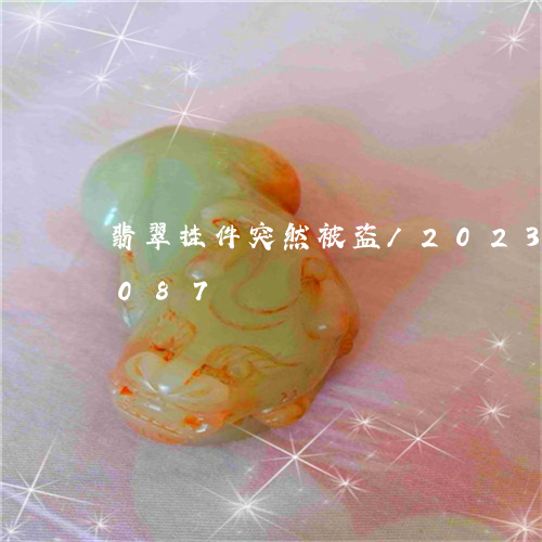 翡翠挂件突然被盗/2023041114087