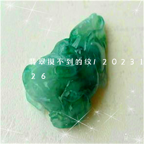 翡翠摸不到的纹/2023100613926