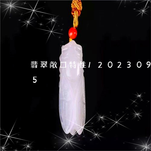 翡翠敞口特性/2023092283805