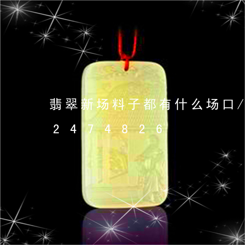 翡翠新场料子都有什么场口/2023072474826