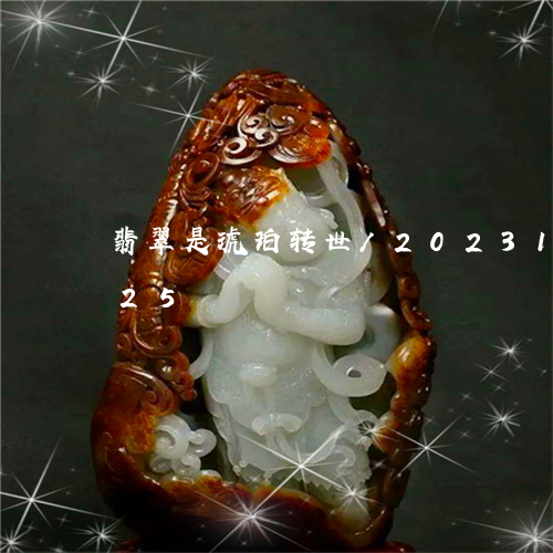 翡翠是琥珀转世/2023100603625