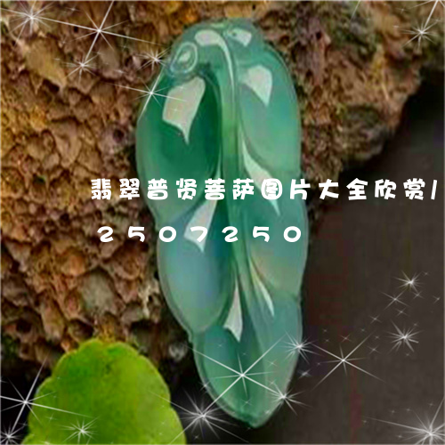 翡翠普贤菩萨图片大全欣赏/2023112507250