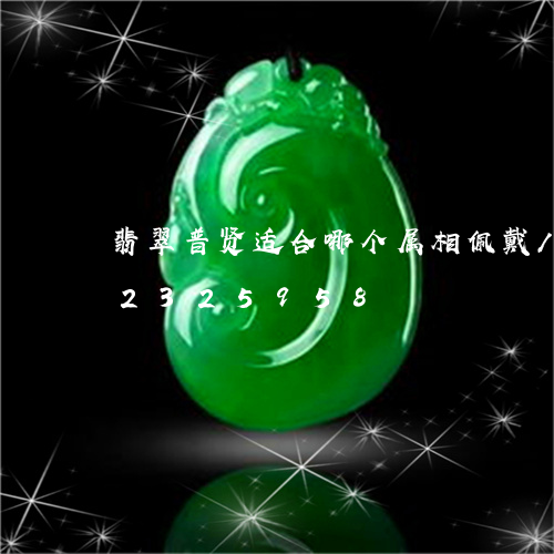 翡翠普贤适合哪个属相佩戴/2023072325958