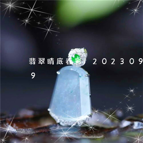 翡翠晴底春彩/2023092336949