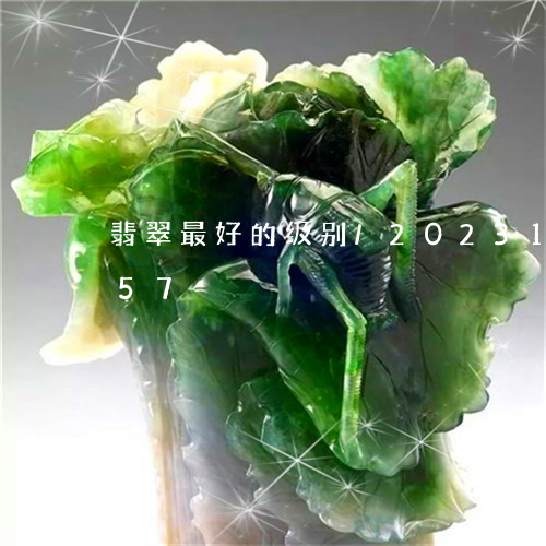 翡翠最好的级别/2023100636957