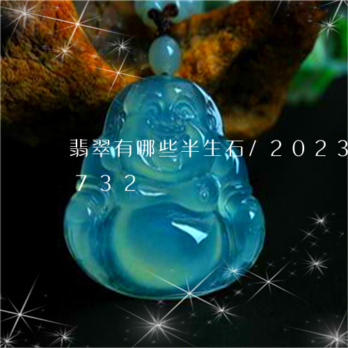 翡翠有哪些半生石/2023040995732