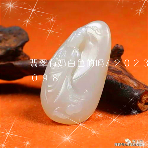 翡翠有奶白色的吗/2023040909098