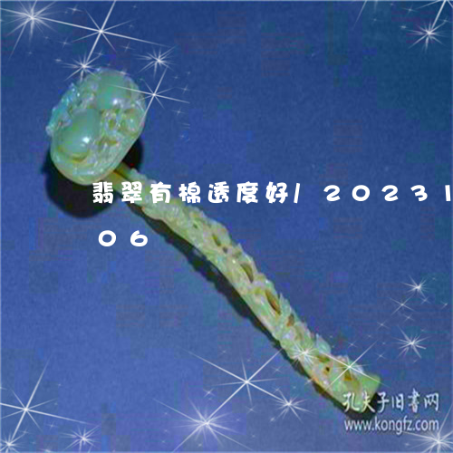 翡翠有棉透度好/2023100670706