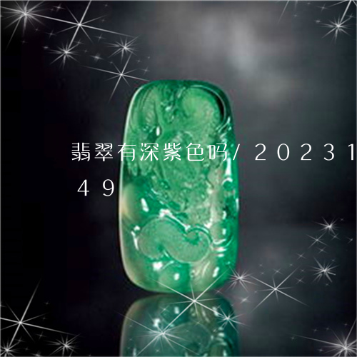 翡翠有深紫色吗/2023100606249