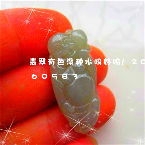 翡翠有色没种水吗好吗/2023112460583