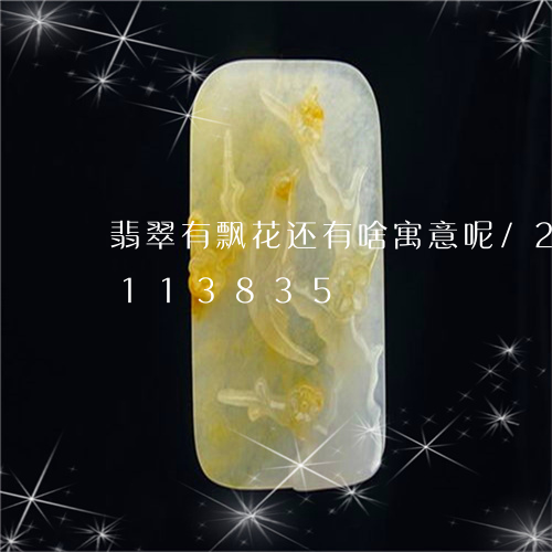 翡翠有飘花还有啥寓意呢/2023110113835