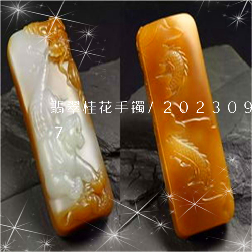 翡翠桂花手镯/2023092382917