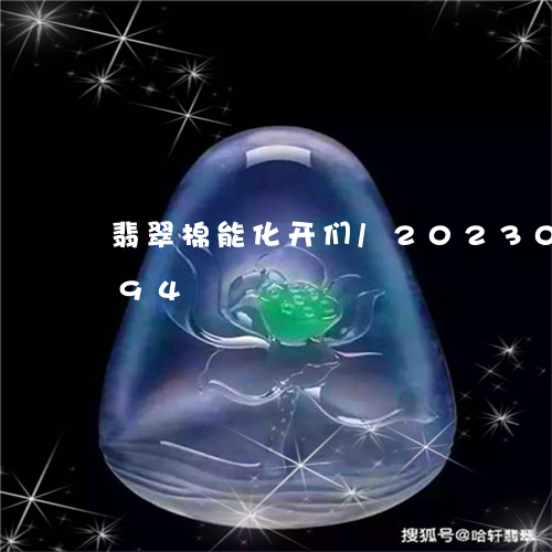 翡翠棉能化开们/2023073160494